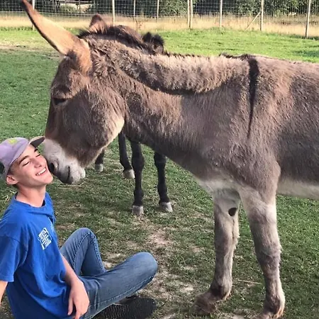 Domaine Des Daims De La Baie De Somme *