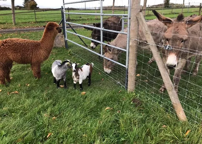 Domaine Des Daims De La Baie De Somme Landhaus