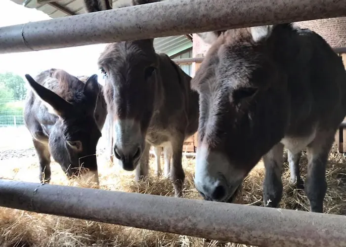 Landhaus Domaine Des Daims De La Baie De Somme Domqueur