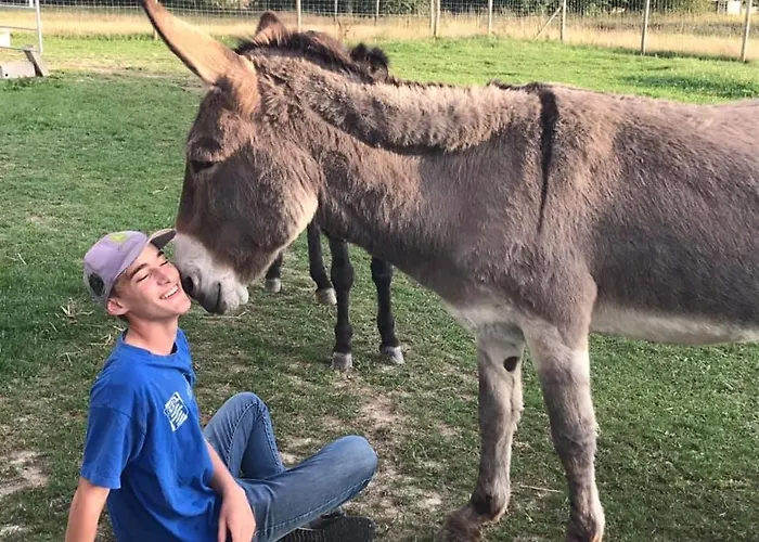 Domaine Des Daims De La Baie De Somme *